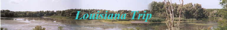 Louisiana Trip